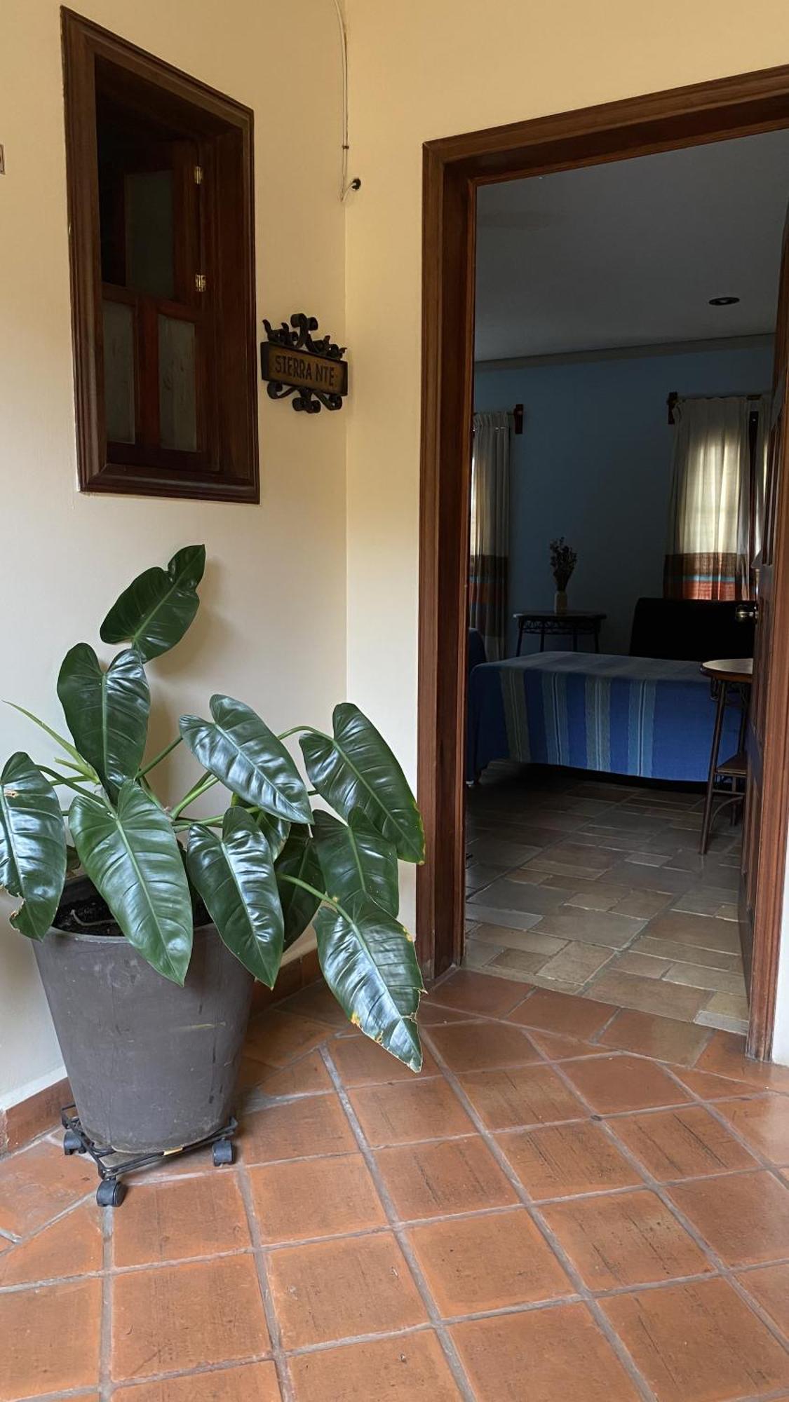 Posada Regional Oaxaca Екстер'єр фото